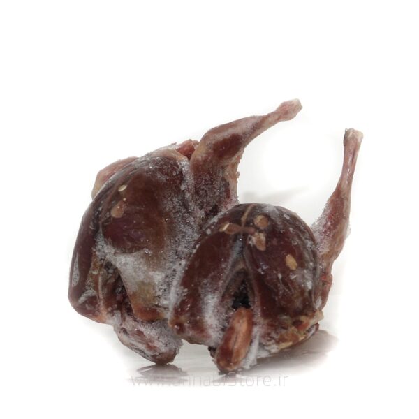 گوشت کبوتر محلی تازه – طبیعی، مقوی و درمانی