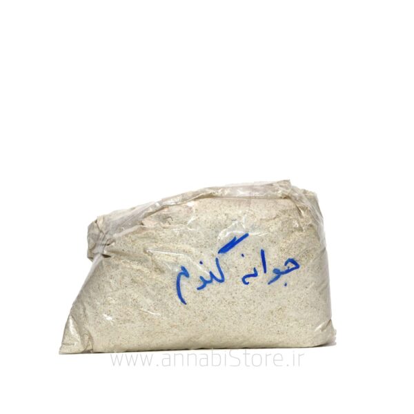 پودر جوانه گندم - تقویت بدن، مغز و رشد کودکان